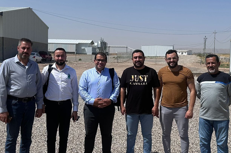 Laying and maternal health